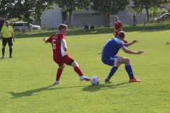 img_8259