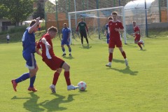 img_8261
