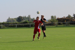 img_1271