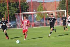 img_1469