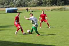 img_5310